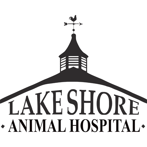 Lake Shore Animal Hospital