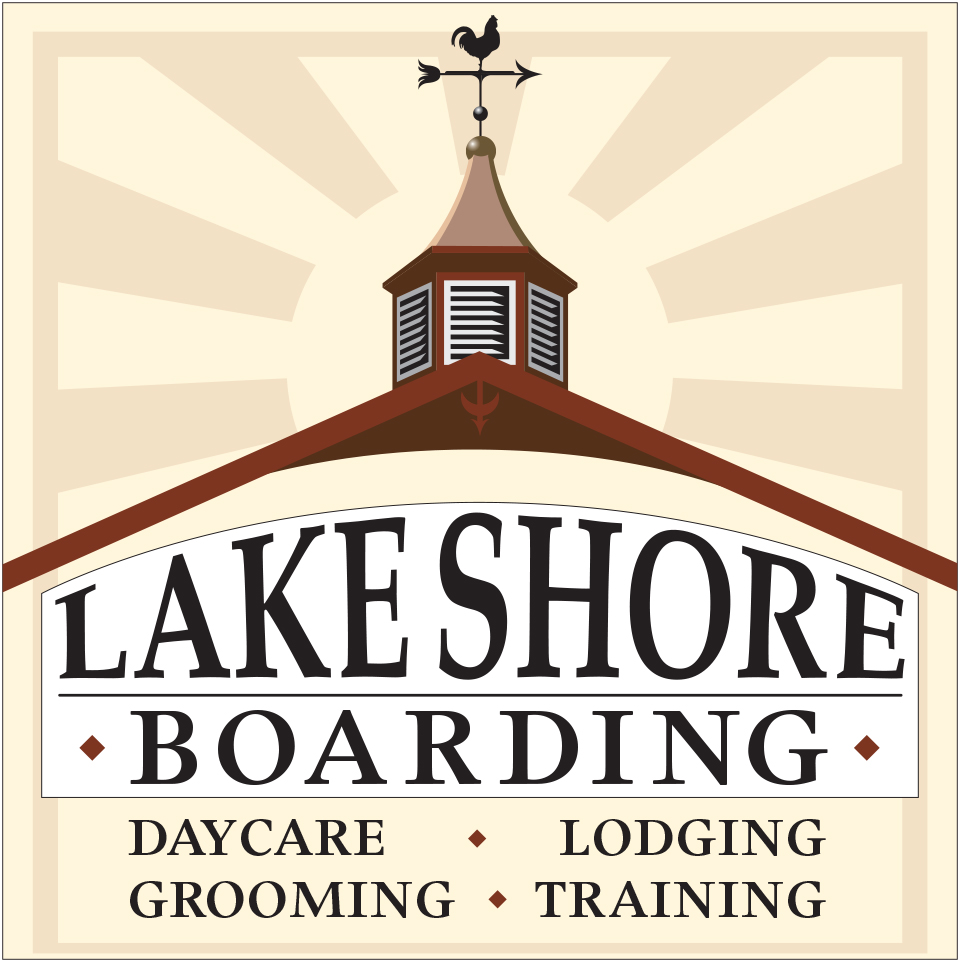 Lake Shore Boarding